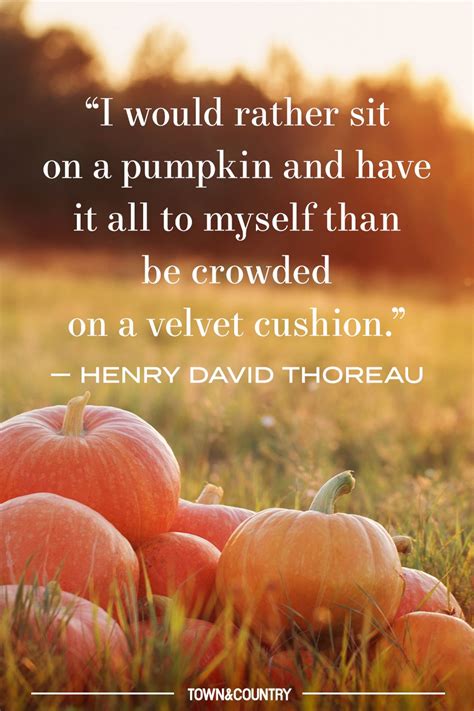 pumpkin patch quotes